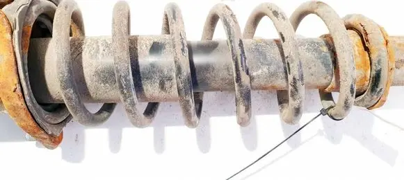 Rear coil spring