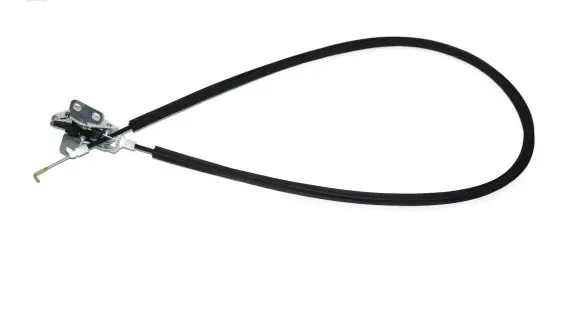 Iveco Daily 5th gen Rear door 3804651