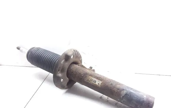 Volkswagen PASSAT B6 Front shock absorber/damper 3C0413031AC