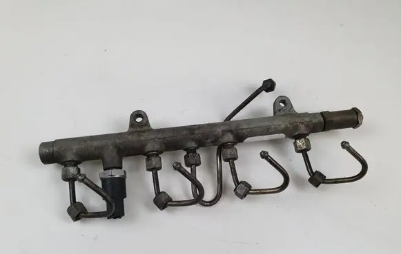 Renault Laguna II Fuel main line pipe 0281002405