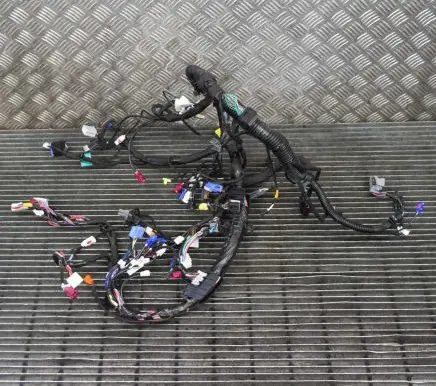 Tesla Model S Other wiring loom 20044291A