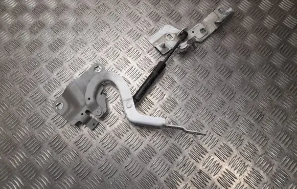 Renault Zoe Tailgate/trunk/boot hinge 654018609R