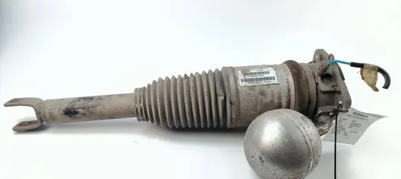 Volkswagen Phaeton Rear shock absorber/damper 3D0616002K 169ATE044111CEK
