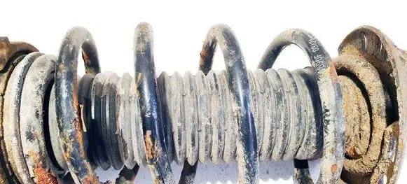 Volkswagen PASSAT B6 Front coil spring