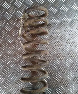 Front coil spring