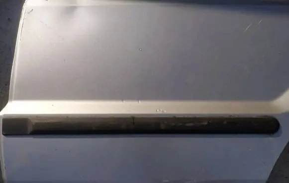 Ford Fusion Rear door trim (molding)