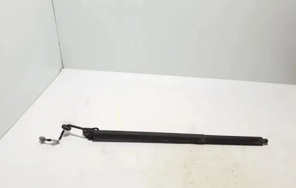 Ford Mach-E I Tailgate strut LJ8BR402A55AD
