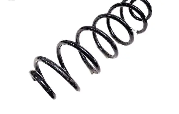 Rear coil spring
