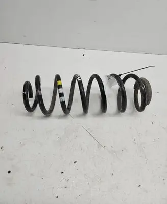 Rear coil spring