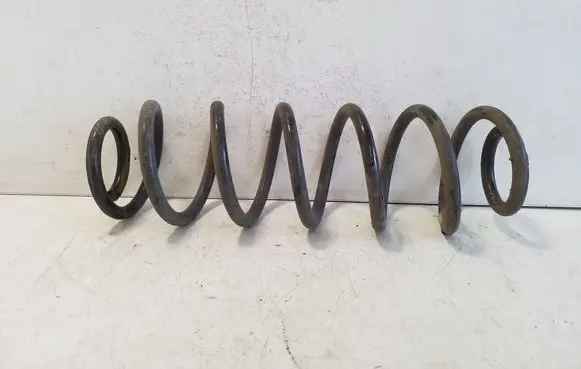 Rear coil spring