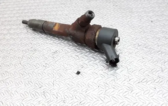 Renault Espace - Grand espace IV Fuel injector 0445110110B