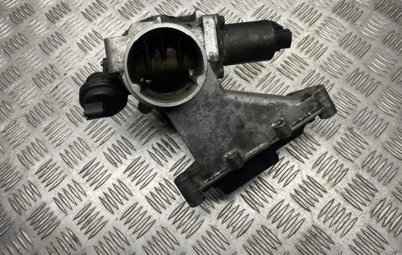 Renault Espace - Grand espace IV Throttle valve 8200056350 02212