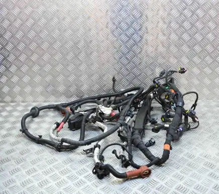 Engine installation wiring loom