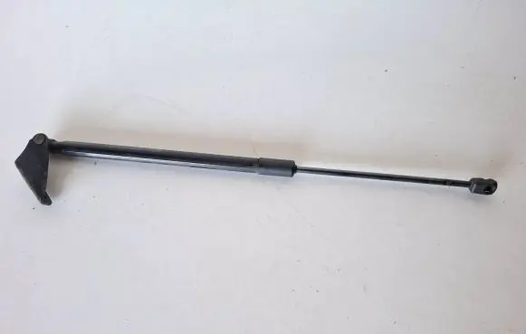 Tailgate/trunk strut/damper
