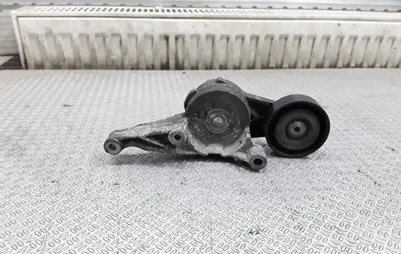 Volkswagen Jetta V Generator/alternator belt tensioner 03G903315C