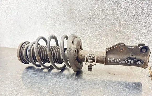 Opel Insignia A Front shock absorber with coil spring 13245967 E4612601 367327926