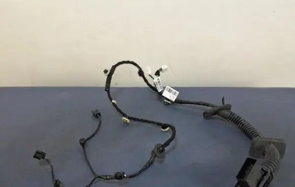 Dacia Jogger Other wiring loom 241254109R