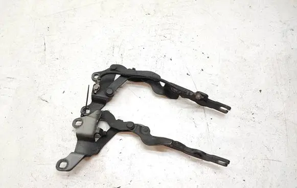 BMW 1 E82 E88 Engine bonnet/hood hinges 7060560 7060559