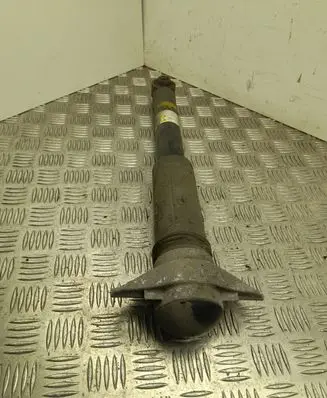 Lexus UX Rear shock absorber/damper 4853076180