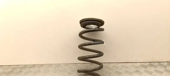 Tesla Model Y Rear coil spring 228847400A