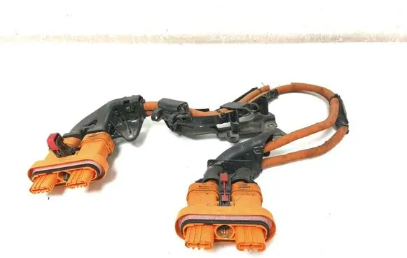 Volkswagen ID.4 Other wiring loom 1EA971015AA