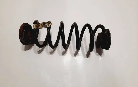 Rear coil spring