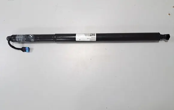 Tailgate/trunk strut/damper