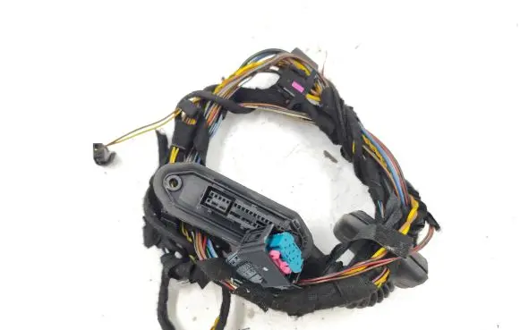 Rear door wiring loom