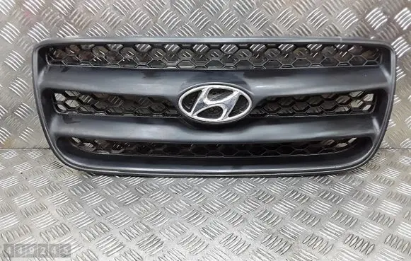 Hyundai Santa Fe Front grill E865612B000