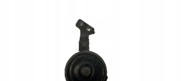 KIA Rio Horn signal