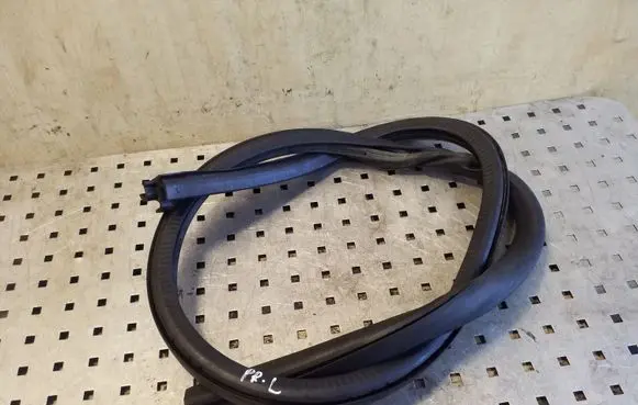 Volkswagen Eos Rubber seal front coupe door window 