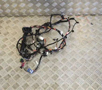 Tesla Model 3 Front door wiring loom 106796300D