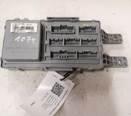 Hyundai Santa Fe Fuse module 919502B400
