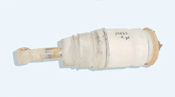Land Rover Range Rover Sport L320 Rear shock absorber/damper 3496895