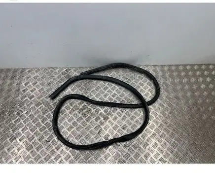 Ford Mustang Mach-E Rubber seal rear door LJ8BR20708