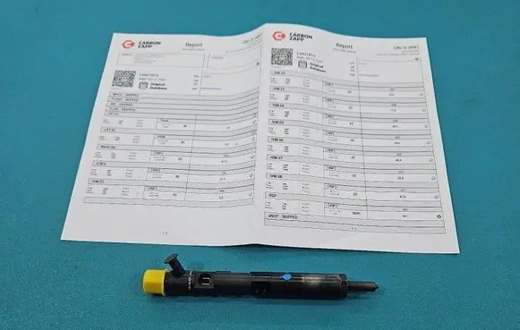 Renault Megane II Fuel injector EJBR01801A IMPRK1510510