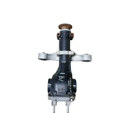 Subaru Outback (BT) Rear differential SD0096 30993243