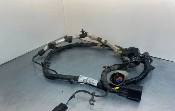 Jaguar F-Pace Other wiring loom HK8314F427FD A50204482