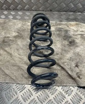 Rear coil spring