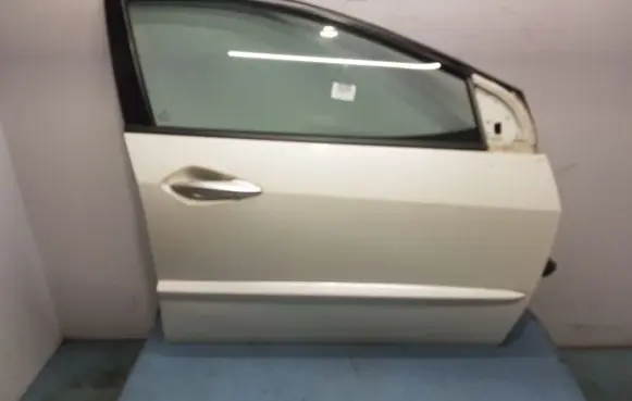 Honda Civic IX Front door NH624P