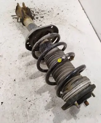 Fiat Doblo Front shock absorber with coil spring 51880843
