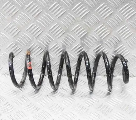 Nissan Qashqai Rear coil spring