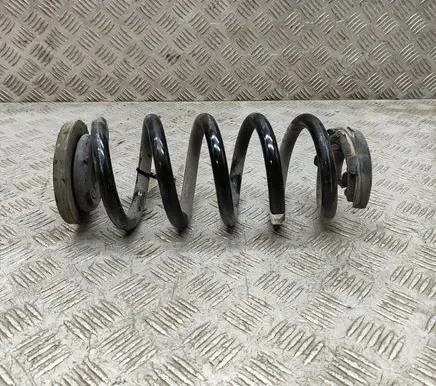Volkswagen ID.3 Rear coil spring 1EA511103C