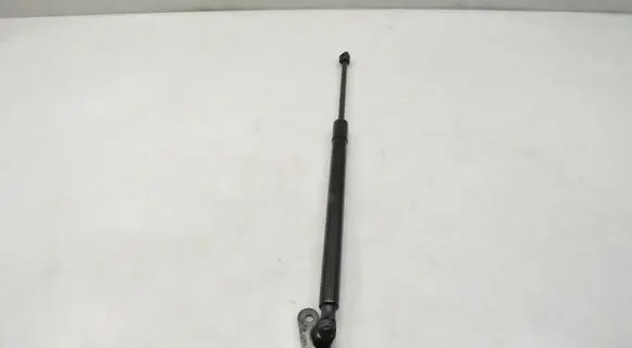 Land Rover Discovery Sport Tailgate strut FK72406A10AB