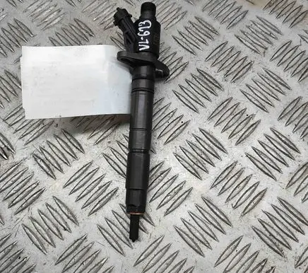 Land Rover Discovery 5 Fuel injector FW939K546AA