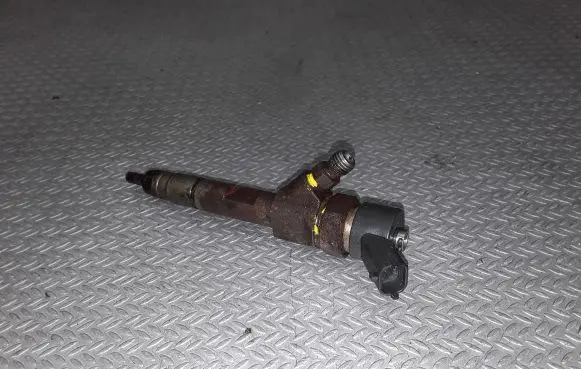Renault Laguna II Fuel injector 0445110110B