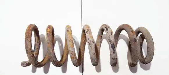 Rear coil spring