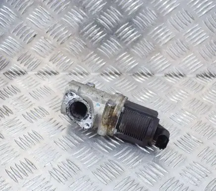 Opel Zafira B EGR valve 50024005