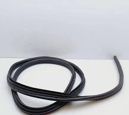 Renault Megane I Rubber seal rear door 