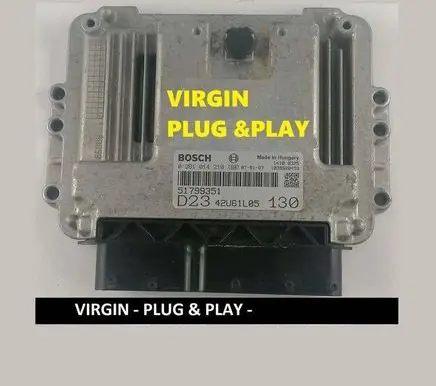 Engine control unit/module ECU